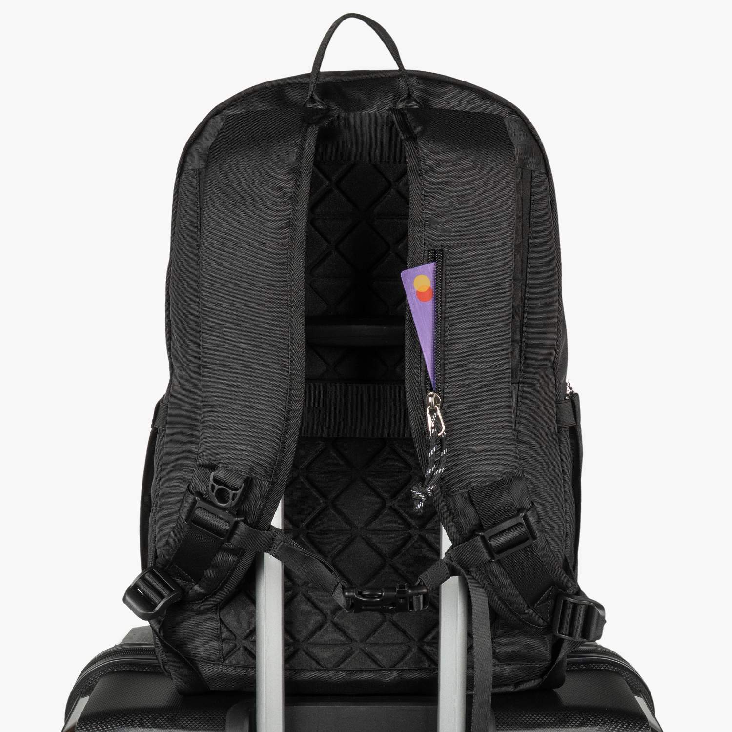 Morral Dusk