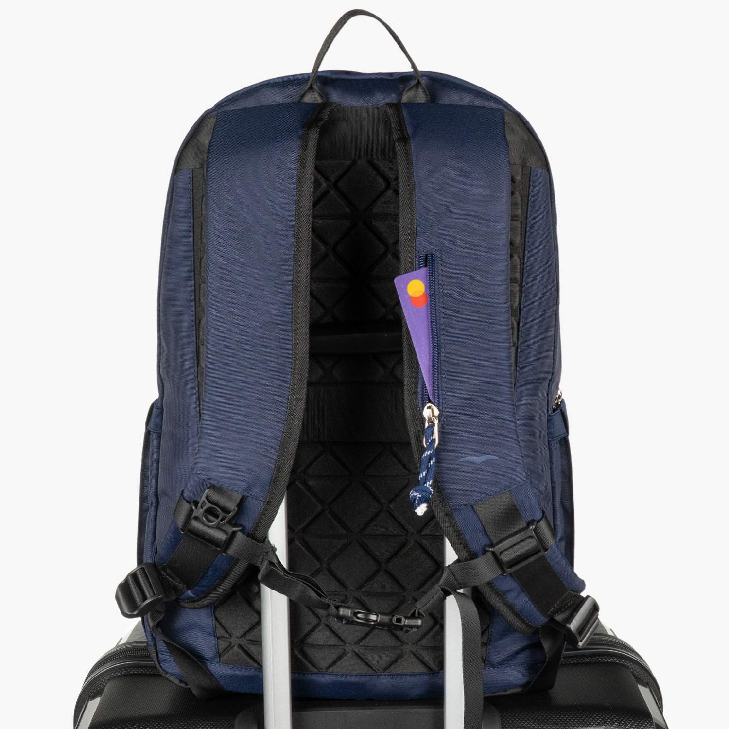 Morral Dusk