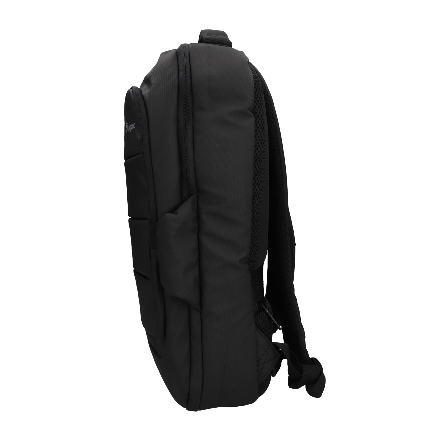 Morral cienaga Lugano